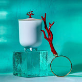 Coral Candle - L'OBJET