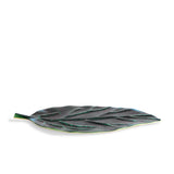 Cenote Leaf Platter - Large