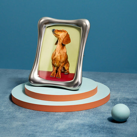 Decorative frame with a dachshund illustration on a blue surface