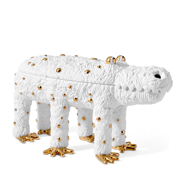 Haas Pedro the Croc Box - Limited Edition of 250 - L'OBJET