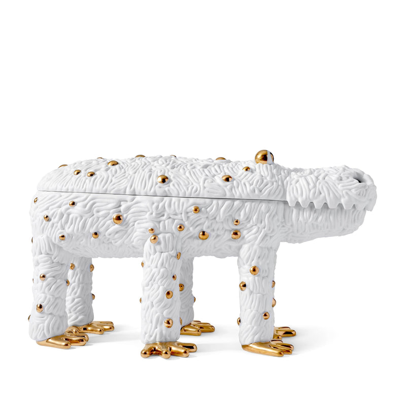 Haas Pedro the Croc Box - Limited Edition of 250 - L'OBJET