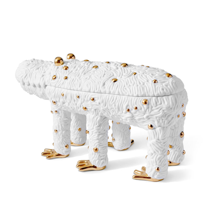 Haas Pedro the Croc Box - Limited Edition of 250 - L'OBJET